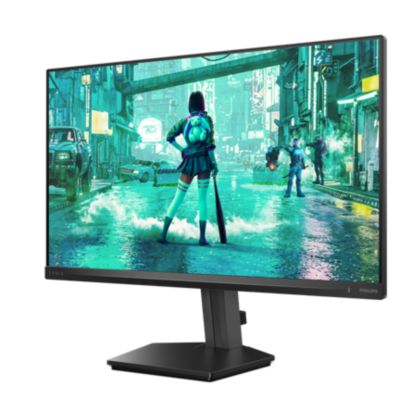 Fast IPS Gaming monitor