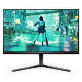 Fast IPS Gaming monitor