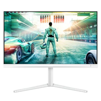 Fast IPS Gaming monitor
