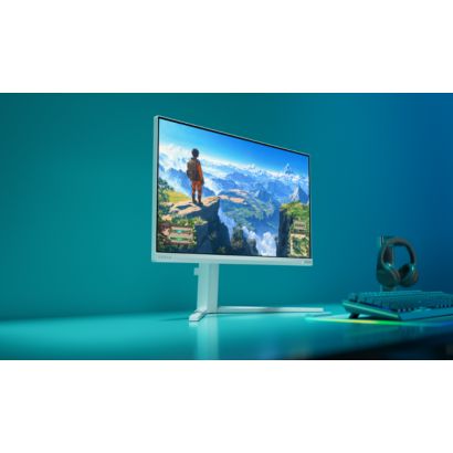 Fast IPS Gaming monitor