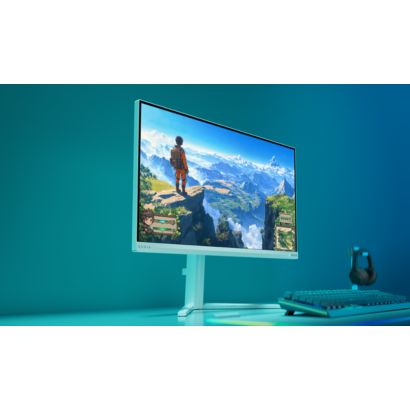 Fast IPS Gaming monitor