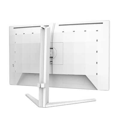 Fast IPS Gaming monitor