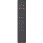 Thumbnail of Remote control photograph
