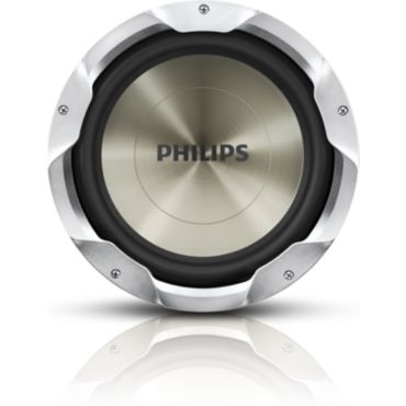 Car subwoofer