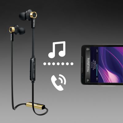 Wireless control and enjoyment of music and calls