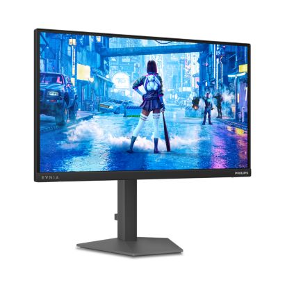 Fast IPS Gaming monitor