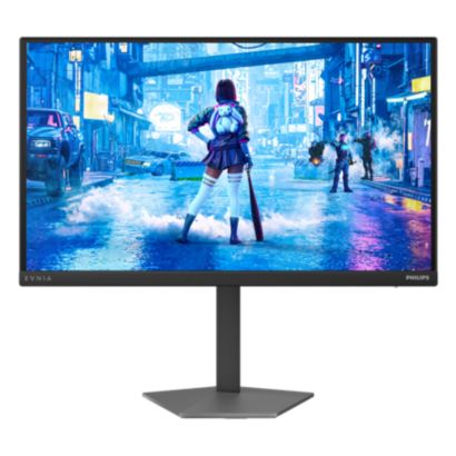 Fast IPS Gaming monitor