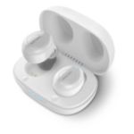 Thumbnail of Alternative product photograph