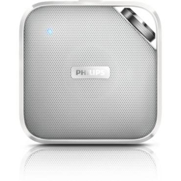 wireless portable speaker