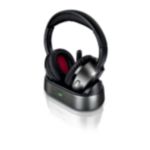 Thumbnail of Alternative product photograph