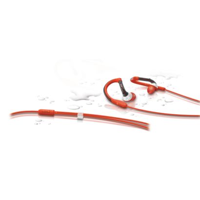 Alternative Product Photograph