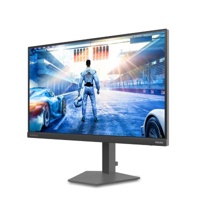 Fast IPS Gaming monitor