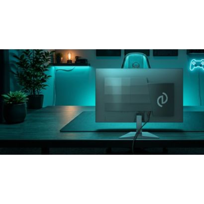 Fast IPS Gaming monitor