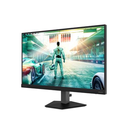 Fast IPS Gaming monitor