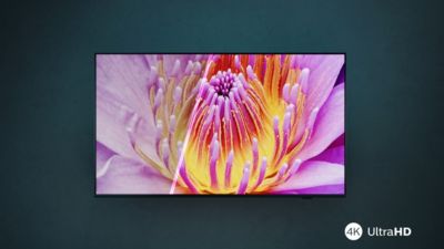 Visualização vibrante com imagem ultranítida.