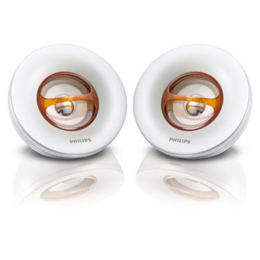 Portable Speaker System