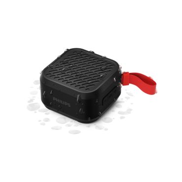 Wireless speaker