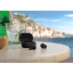 Miniature de Photo principale en cours d’utilisation