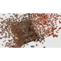 Great coffee starts with freshly-ground beans
