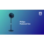 Tichý výkon. Štýlovo všestranný.