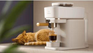 嘘&mdash;&mdash;很安静！