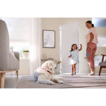 Philips SpeedPro Max