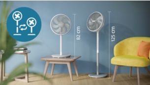 Versatile 2-in-1 pedestal and table fan