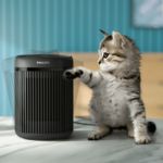 Kiireim viis tuba kütta