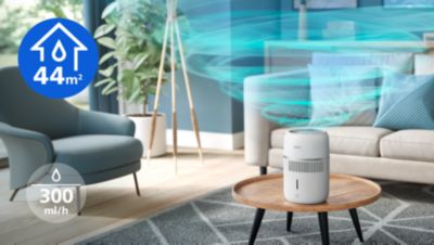 Efektyvus patalpose iki 44 m² su 300 ml/val. išskyrimo galia
