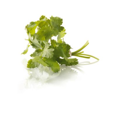 Philips Avance Collection