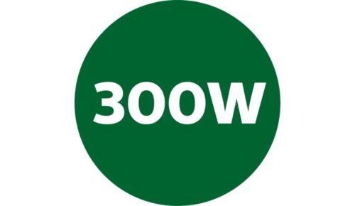 Powerful 300W motor