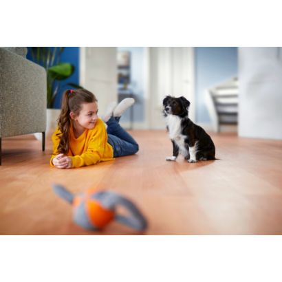 Philips PowerPro Expert