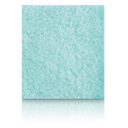 Philips Performer Active