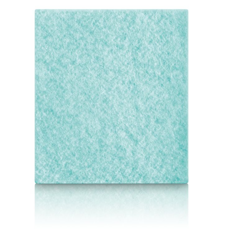 Philips Performer Active