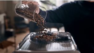 Hole den besten Geschmack aus deinen Bohnen mit BeanMaestro