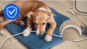 D&acirc;y chống cắn gi&uacute;p tăng cường an to&agrave;n