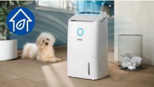 Modalit&agrave; Solo purificatore per proteggere da agenti inquinanti e allergeni.