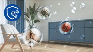 Reduziert Feuchtigkeit, verhindert Schimmel und beseitigt muffige Ger&uuml;che