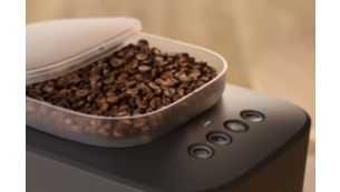 Frische Bohnen sind am besten.