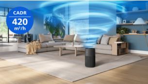 Gr&uuml;ndliche Reinigung von R&auml;umen bis zu 109&nbsp;m&sup2;