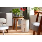 Kerge hingata, rahulik magada