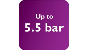 Максимальное давление насоса &mdash; 5,5&nbsp;бар