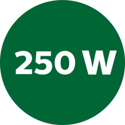 Alta rotación con motor de 250 W para obtener el mejor resultado