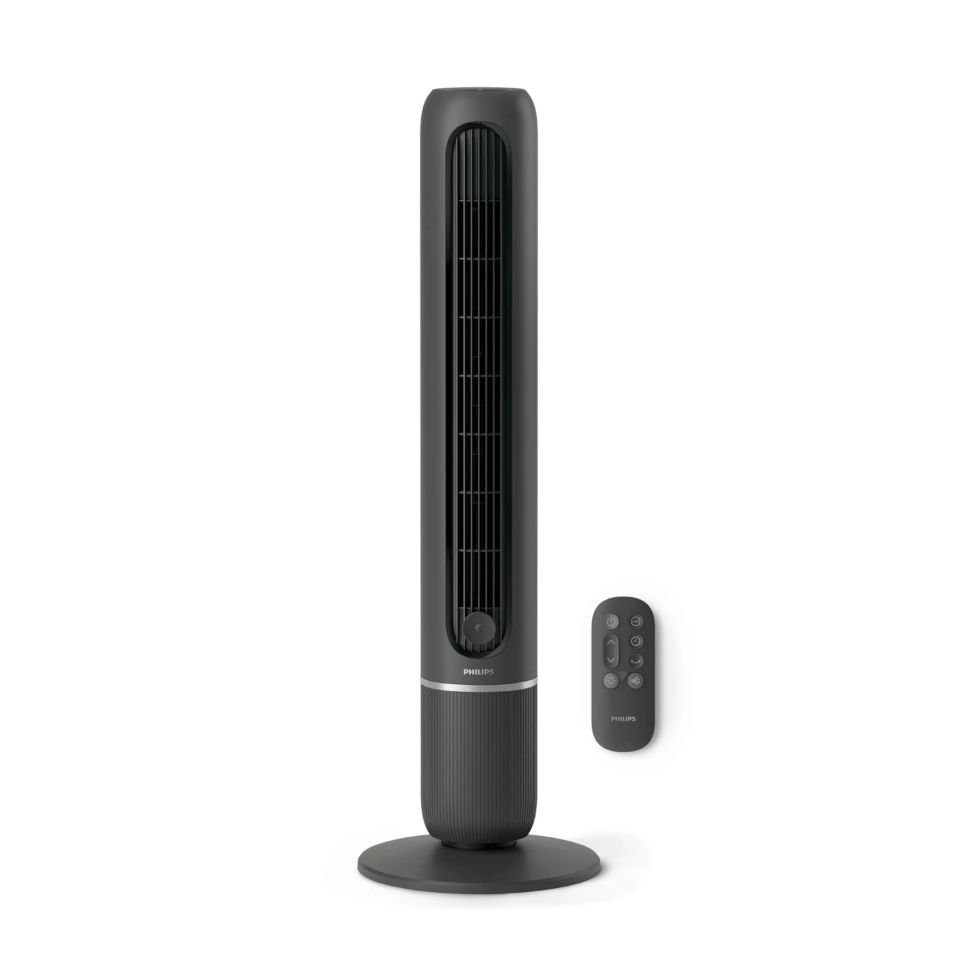 Stronger yet quieter cooling (1)