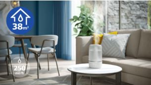 Effective in rooms up to 38 m&sup2; with 250 ml/h