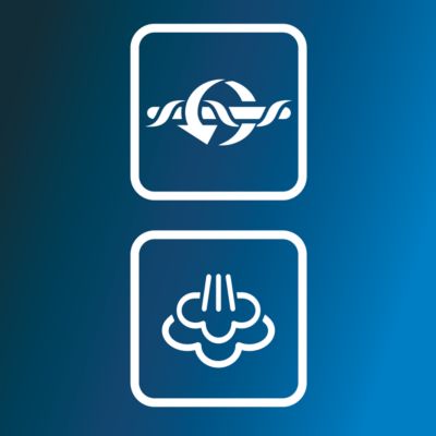 Imege tolmu ja aurutage ühekorraga