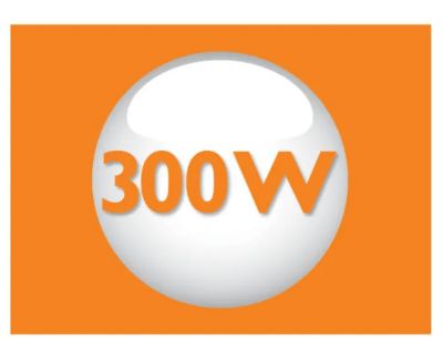 Powerful 300 W motor