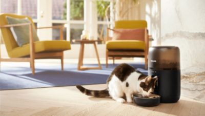 Optimalus šviežumas