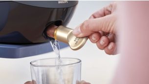 Easy De-Calc Plus para prolongar a vida &uacute;til do seu ferro