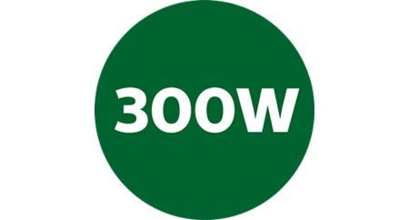 Powerful 300W motor for great results